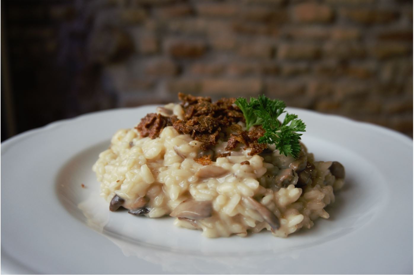 PHOTOGALLERY Risotteria Melotti Firenze